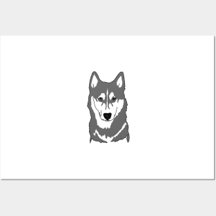 Gray and white husky with wall eyes Posters and Art